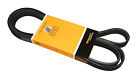 6k2135 Crp Reman Serpentine Belt