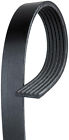 6k388 Acdelco Serpentine