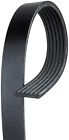 99919237950 6k900 Acdelco Professional Standard Serpentine