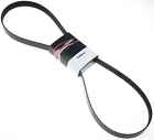 6k905ap Roadmax Gates Serpentine Belt Fast Shipping