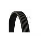 6k906 Mini Cooper Vw Engine Serpentine Drive Belt Contitech