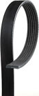 5060730dr 6pk1856 Gates Century Series Premium
