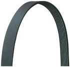 6pvk1625 Dayco Serpentine Belt 036687564702