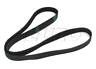 11287636369 7k1623 Continental New Accessory Drive Belt Bmw