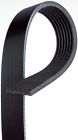 11287557257 7k539 Acdelco Professional Serpentine Belt-standard