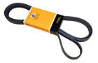 7l3z8620d Ford Drive Fan Belt