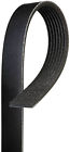 7pk2217 Gates Serpentine Belt