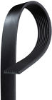8k926 Acdelco Serpentine Belt