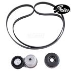 90k-38116 Gates Drive Belt Component Kit For Dodge Dakota 770075756019