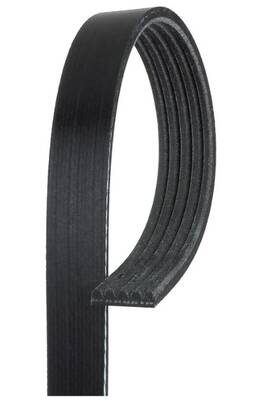 5k446 Acdelco 021625246413 Gold Standard V-ribbed Serpentine Belt