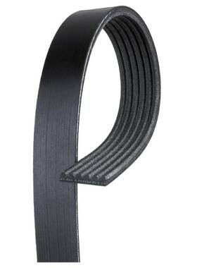 6k763 Acdelco 021625247861 Gold Standard V-ribbed Serpentine Belt