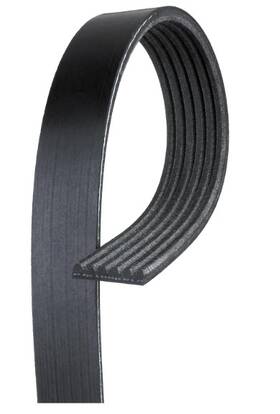 6k795 Acdelco 021625247939 Gold Standard V-ribbed Serpentine Belt