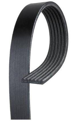 6k810 Acdelco 021625247960 Gold Standard V-ribbed Serpentine Belt