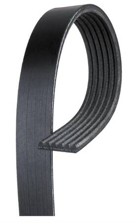 6k966 Acdelco 021625249018 Gold Standard V-ribbed Serpentine Belt