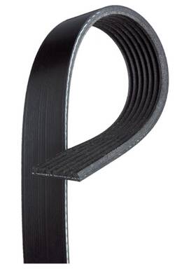 7k1031 Acdelco 021625249452 Gold Standard V-ribbed Serpentine Belt