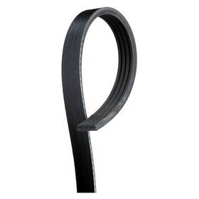 4k533 Acdelco V Ribbed Serpen B