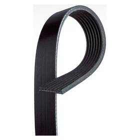 5k780 Acdelco V Ribbed Serpen B