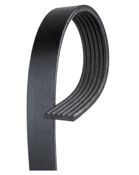 6k834 Acdelco 707773909133 Gold Standard V-ribbed Serpentine Belt