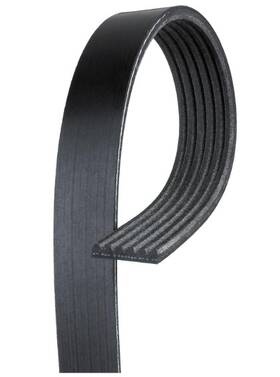 19295272 Acdelco 707773984246 Gold 6k822 Standard V-ribbed Serpentine Belt