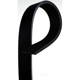 7k644 Acdelco Professional Serpentine Belt Standard V Ribbed