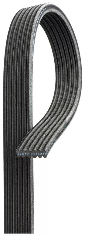 6dk718 Acdelco/gold Dual Sided V-ribbed Serpentine Belt