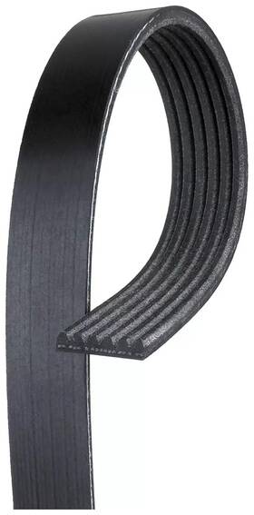 88929142 Acdelco/gold 6k645 Genuine Serpentine Belt