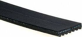 7k443 Acdelco/gold Genuine Standard V-ribbed Serpentine Belt