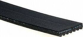 7k649 Acdelco/gold Serpentine Belt Professional/gold