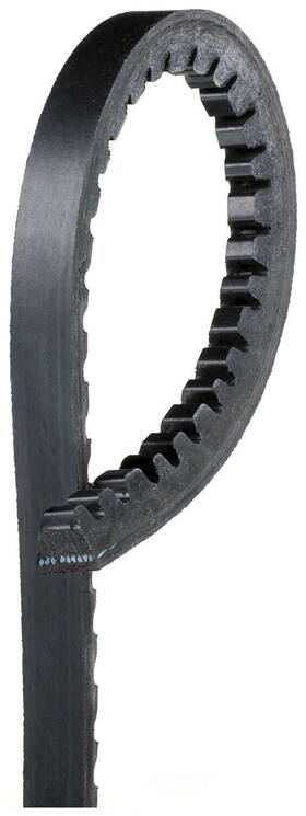 15508 Acdelco Professional Accessory Drive Belt