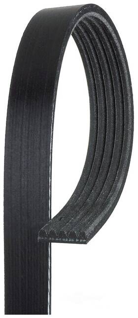 5k340 Acdelco Professional Serpentine Belt