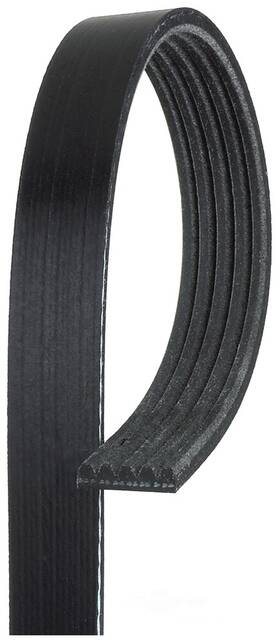 5k630 Acdelco Professional Serpentine Belt