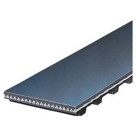 Tb248 Acdelco Timing Belt B