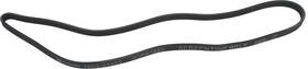1602-24403 Autopart International Serpentine Belt-protune Intl