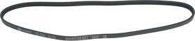 1602-360036 Autopart International Serpentine Belt