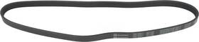 1602-360211 Autopart International Serpentine Belt-protune Intl