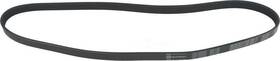 1602-360220 Autopart International Serpentine Belt-protune Intl