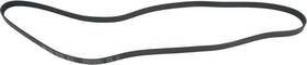 1602-360298 Autopart International Serpentine Belt-protune Intl