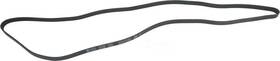 1602-360365 Autopart International Serpentine Belt-protune Intl