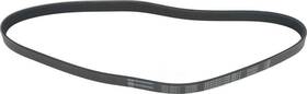 1602-360411 Autopart International Serpentine Belt-protune Intl