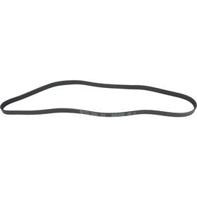 1602-360425 Autopart International Serpentine Belt For 03-06 Dodge 1500 Viper