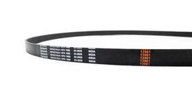1bp02215aa Bproauto Genuine Oem Belt