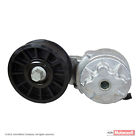 Bt-38 Motorcraft Belt Tensioner Fits