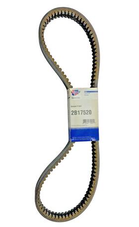 2b17520 Carquest Accessory Drive Belt