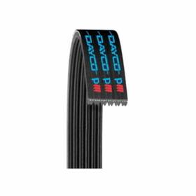 Carquest By Dayco 887220799798 Poly Rib Belt Premium