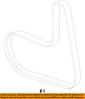 Cn1z8620e Ford Oem Belt