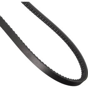 Continental 010858780449 Ag 10x905 Import Automotive V Belt