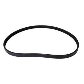 4040337s Continental Ag Automotive Multi V Stretch Belt