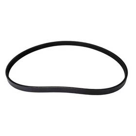 Continental 4040378 Ag Automotive Multi V Belt