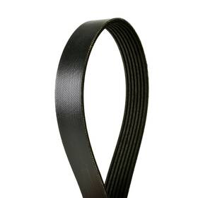 4070365 Continental Ag Automotive Multi V Belt