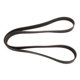 4080575x Continental Ag Automotive Multi V Extreme Duty Belt